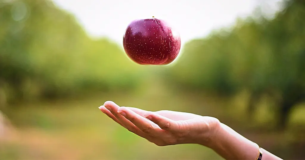 Apple falling onto someone's hand